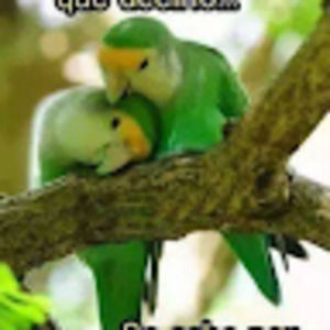 Meet your Posher, Patrisia